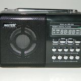 Mini radio FM WSTER WS-229